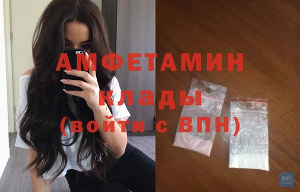 прущие грибы Медвежьегорск