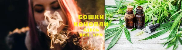 прущие грибы Медвежьегорск