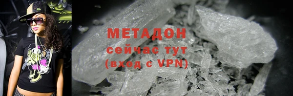 прущие грибы Медвежьегорск