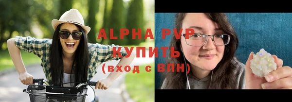 гашик Мегион