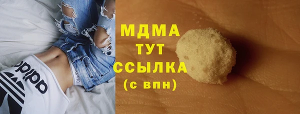 прущие грибы Медвежьегорск
