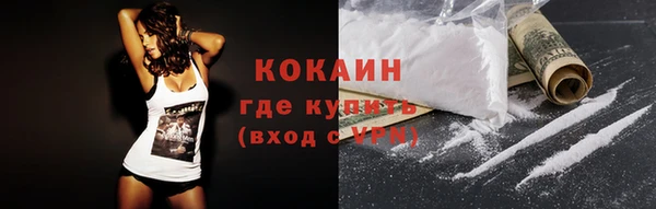 гашик Мегион