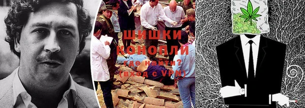 ГАЛЛЮЦИНОГЕННЫЕ ГРИБЫ Медногорск
