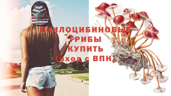 ГАЛЛЮЦИНОГЕННЫЕ ГРИБЫ Медногорск