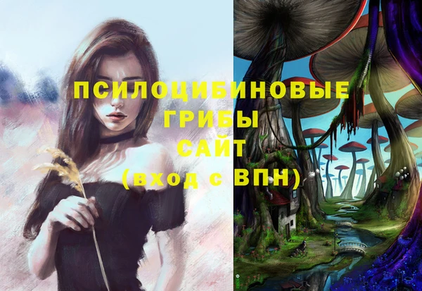 прущие грибы Медвежьегорск