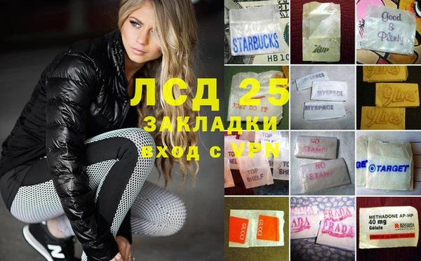 прущие грибы Медвежьегорск