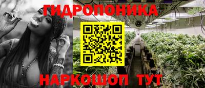 круглые Будённовск