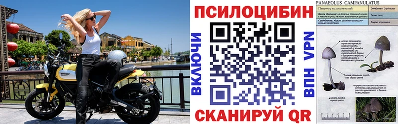 где купить наркоту  Бор  Псилоцибиновые грибы ЛСД 
