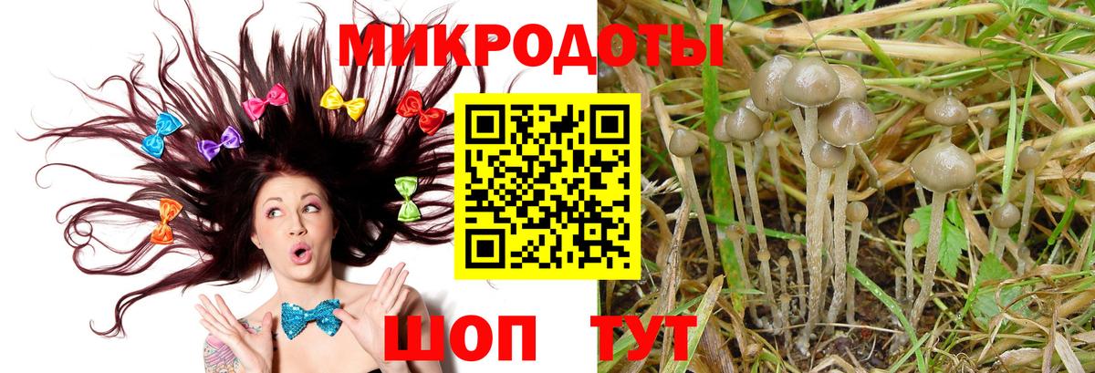 Псилоцибиновые грибы GOLDEN TEACHER Бор