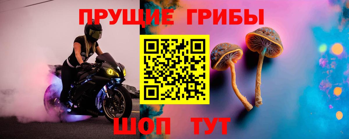 Галлюциногенные грибы прущие грибы Бор